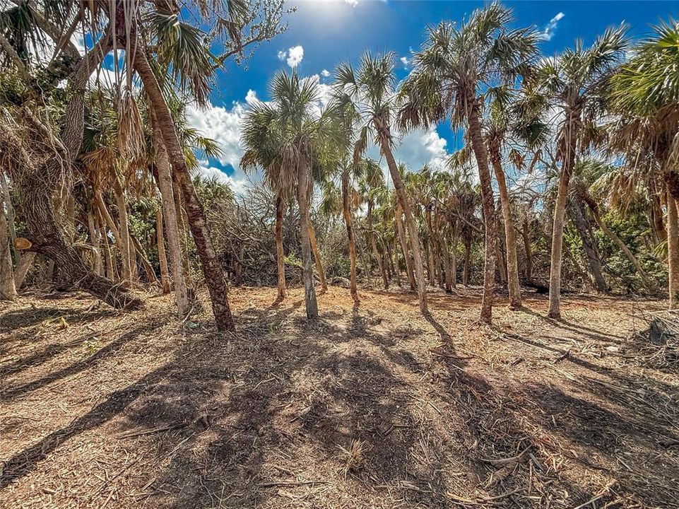 For Sale: $2,900,000 (2.90 acres)