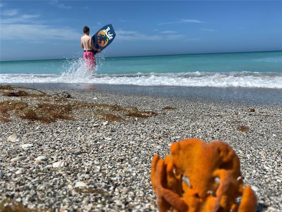 For Sale: $4,900,000 (2.30 acres)