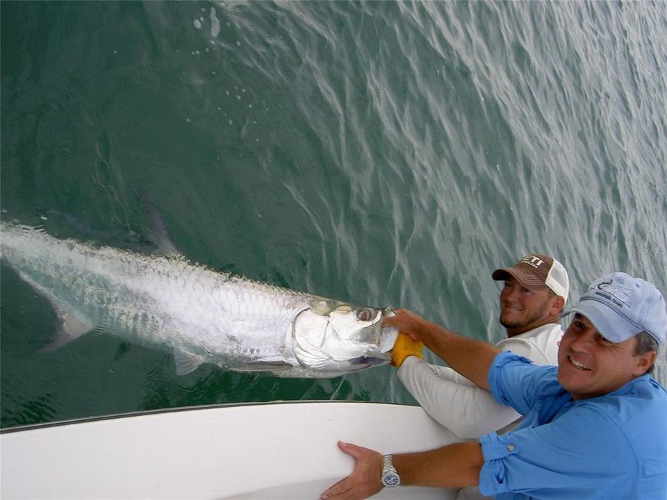 For Sale: $4,900,000 (2.30 acres)