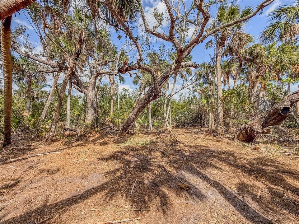 For Sale: $4,900,000 (2.30 acres)