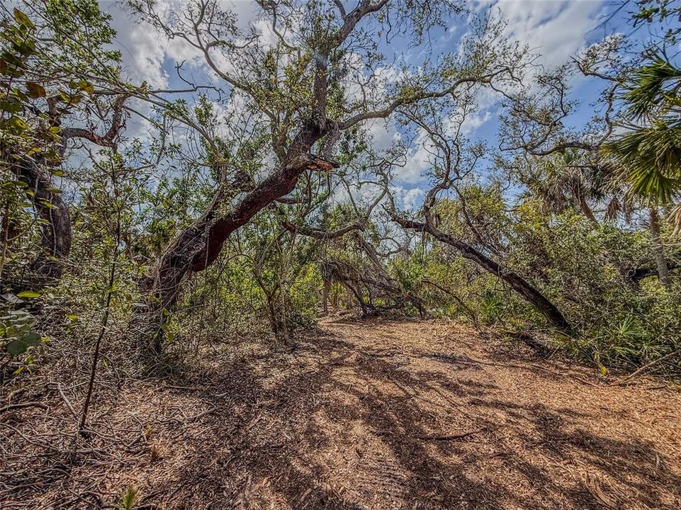 For Sale: $4,900,000 (2.30 acres)