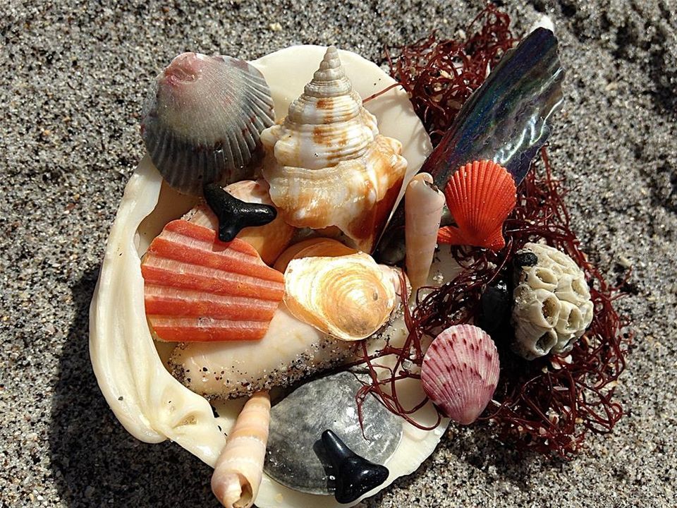 For Sale: $4,900,000 (2.30 acres)