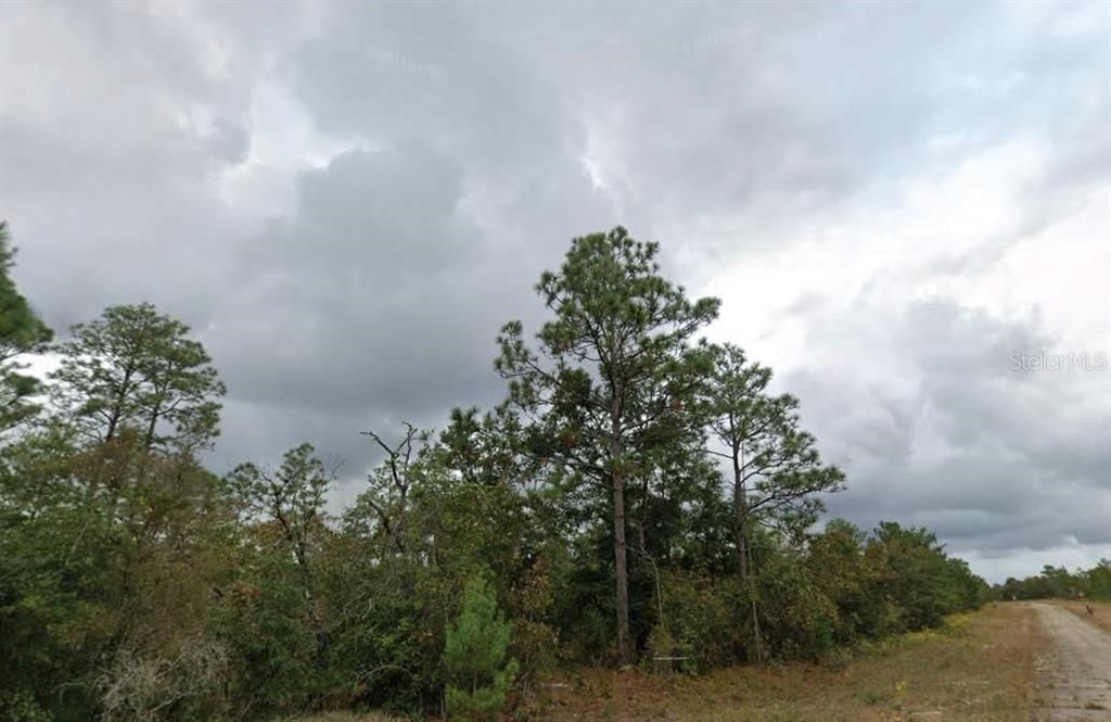 For Sale: $11,000 (0.61 acres)