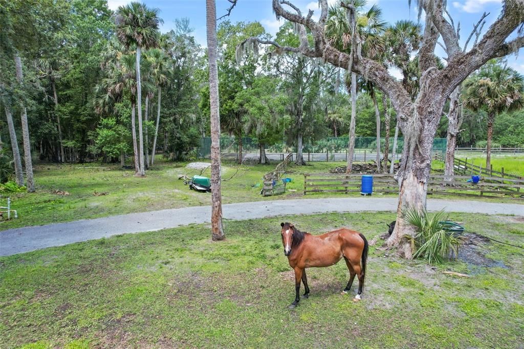 Active With Contract: $550,000 (4 beds, 3 baths, 2985 Square Feet)