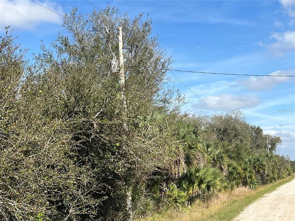 For Sale: $25,800 (1.25 acres)