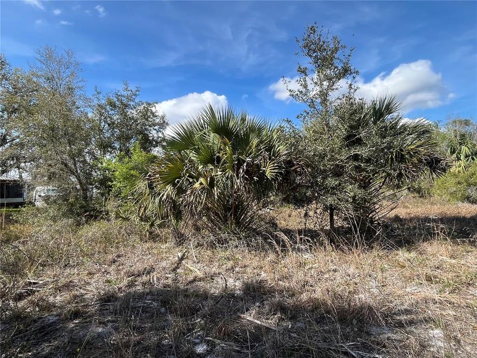 For Sale: $25,800 (1.25 acres)