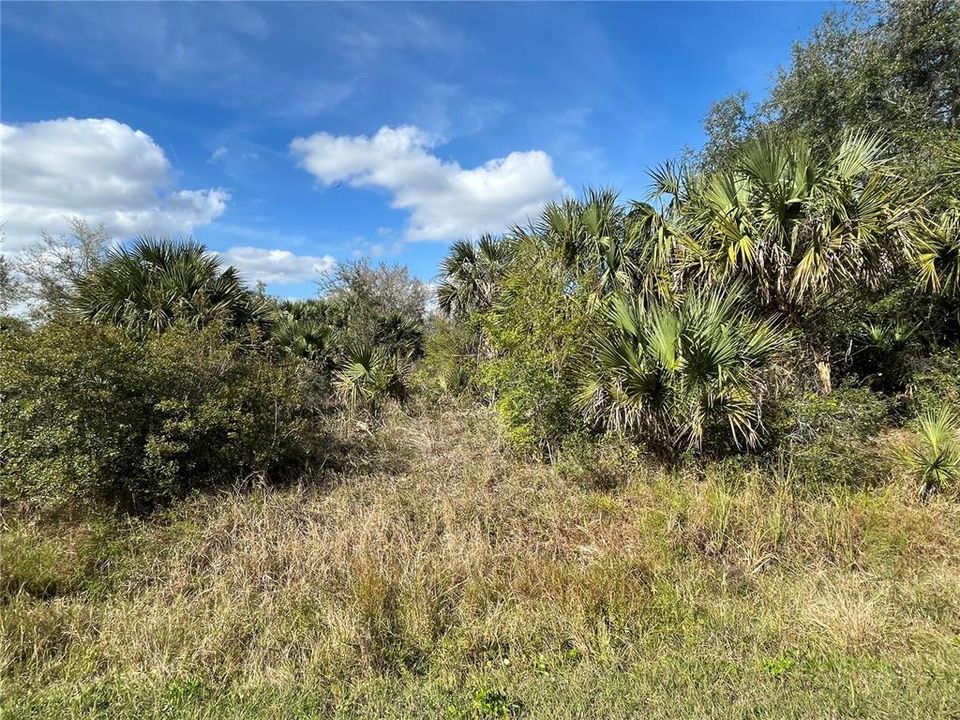 For Sale: $25,800 (1.25 acres)