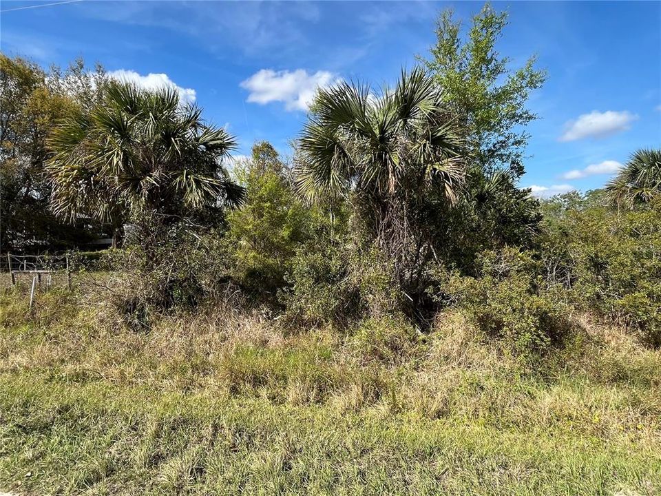 For Sale: $25,800 (1.25 acres)