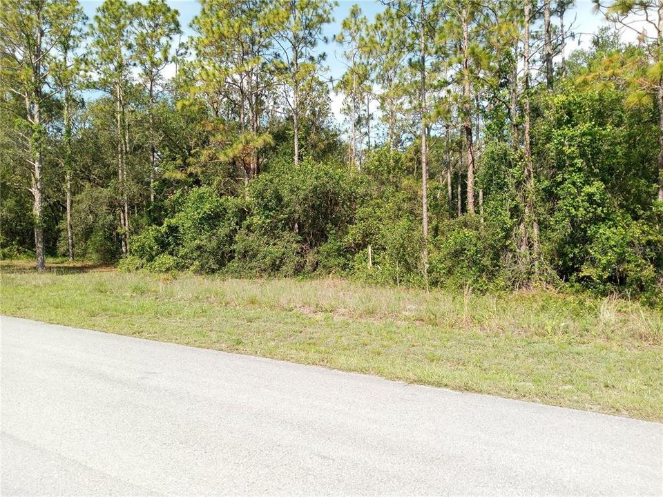 Recently Sold: $50,000 (1.16 acres)