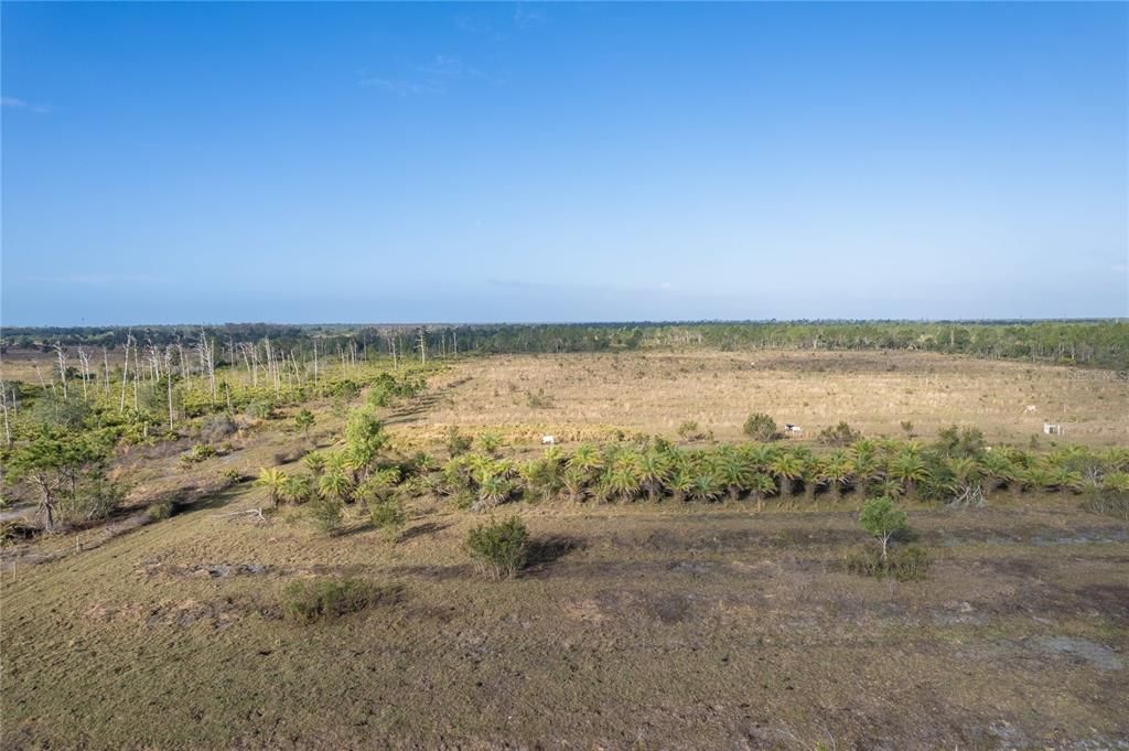 For Sale: $987,000 (21.04 acres)