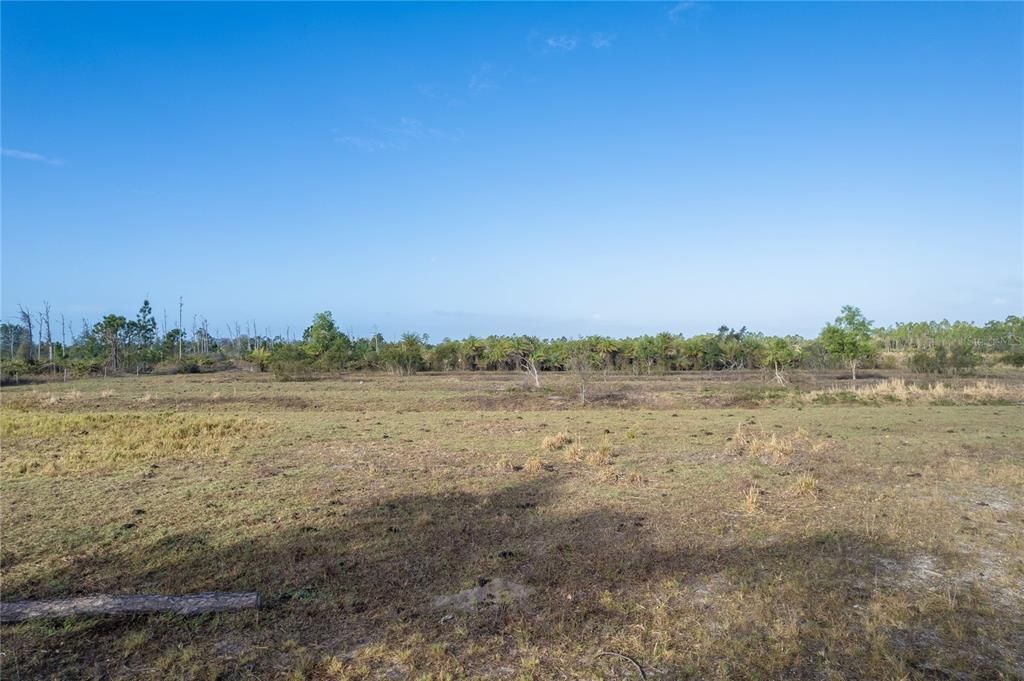 For Sale: $987,000 (21.04 acres)