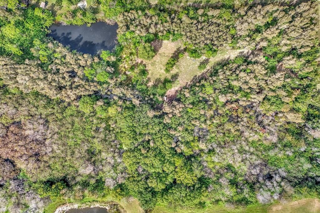 待售: $365,000 (5.00 acres)