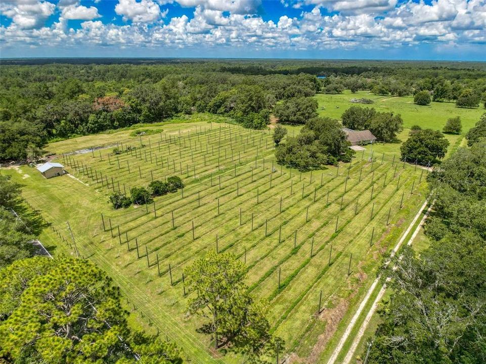 Active With Contract: $820,000 (3 beds, 2 baths, 2412 Square Feet)