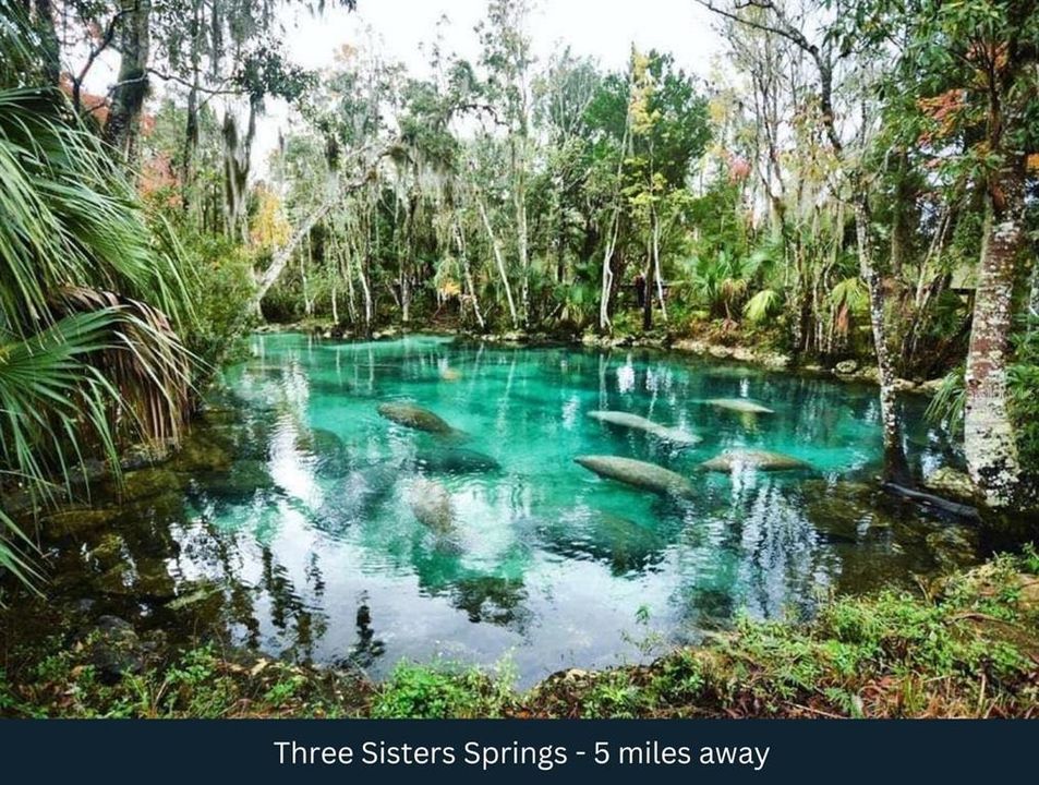 待售: $29,500 (0.53 acres)