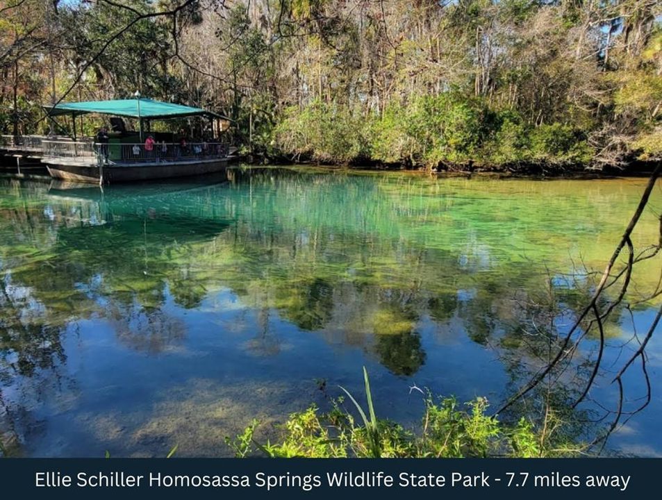 待售: $29,500 (0.53 acres)