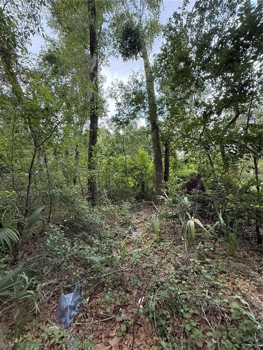 For Sale: $59,900 (1.00 acres)