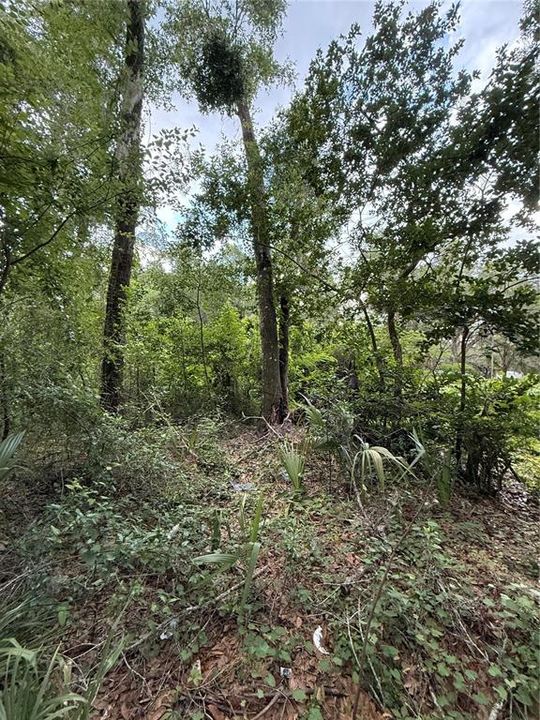 For Sale: $59,900 (1.00 acres)