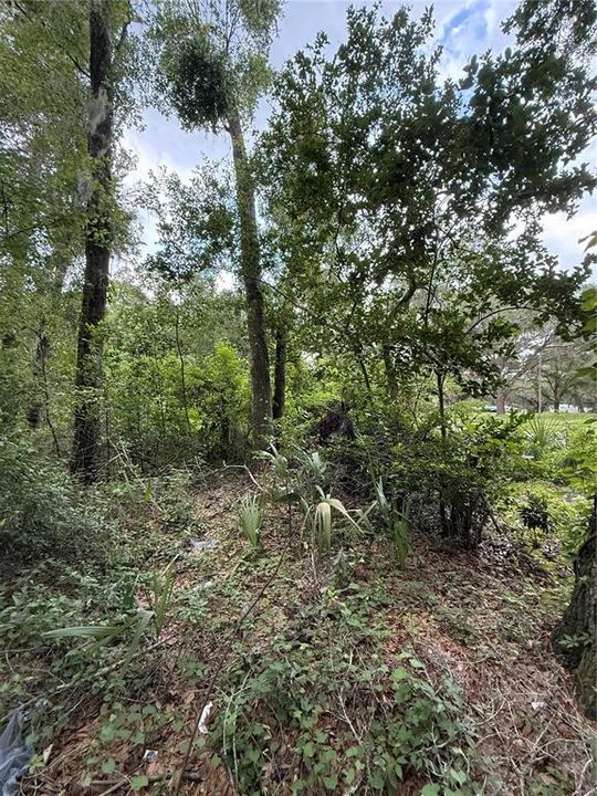 For Sale: $59,900 (1.00 acres)