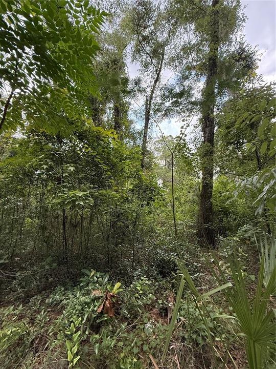 For Sale: $59,900 (1.00 acres)