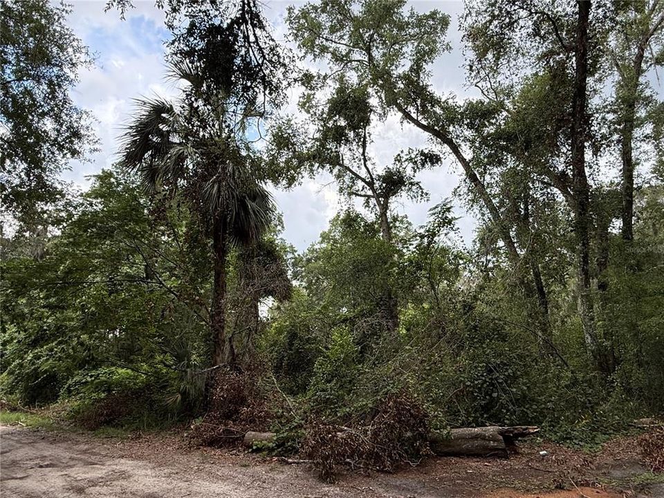 For Sale: $59,900 (1.00 acres)