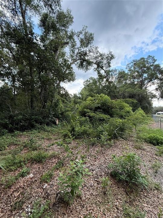 For Sale: $59,900 (1.00 acres)