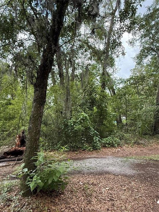 For Sale: $59,900 (1.00 acres)