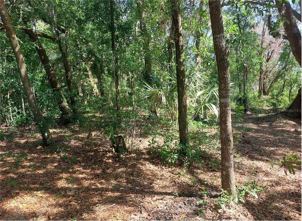 En Venta: $88,000 (0.75 acres)