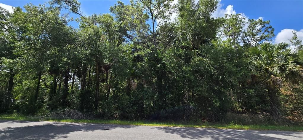 Недавно продано: $40,000 (1.34 acres)