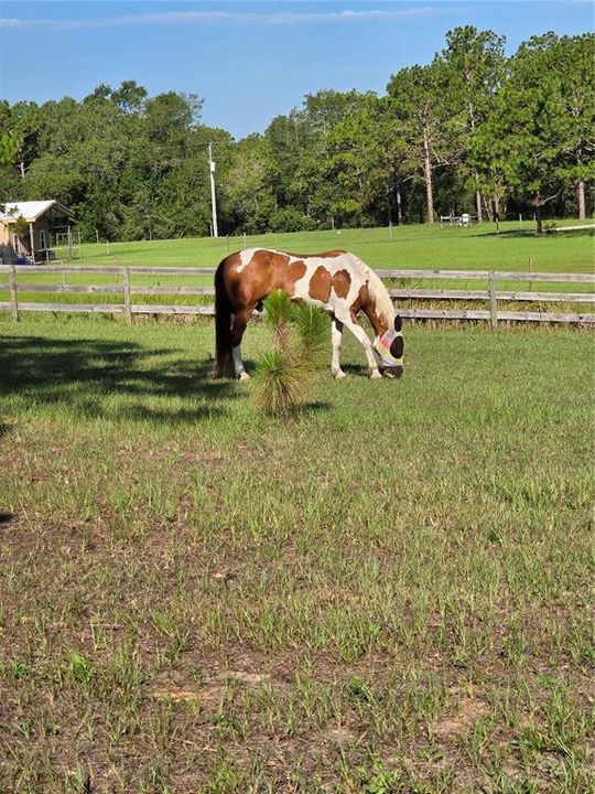 For Sale: $795,000 (3 beds, 3 baths, 3007 Square Feet)