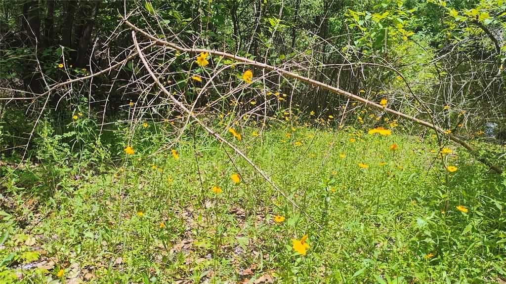 For Sale: $90,000 (1.69 acres)