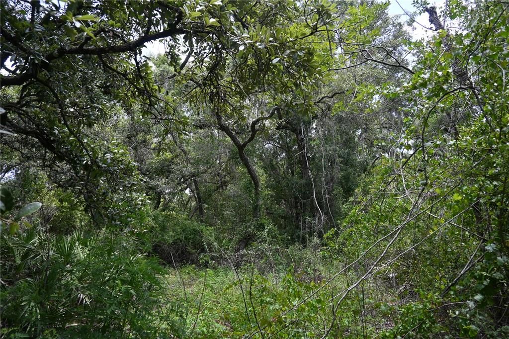 For Sale: $90,000 (1.69 acres)