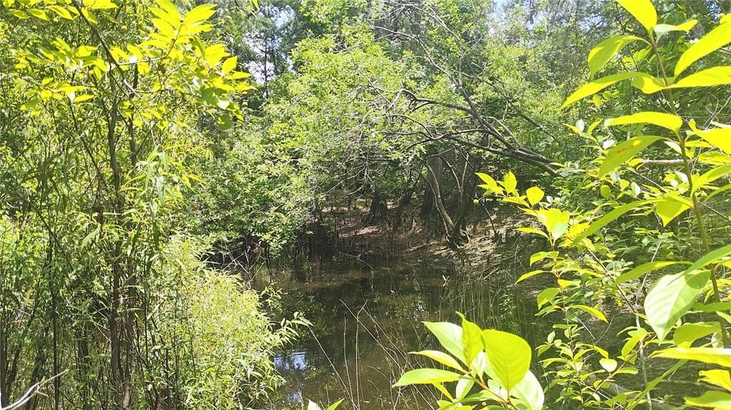 For Sale: $90,000 (1.69 acres)