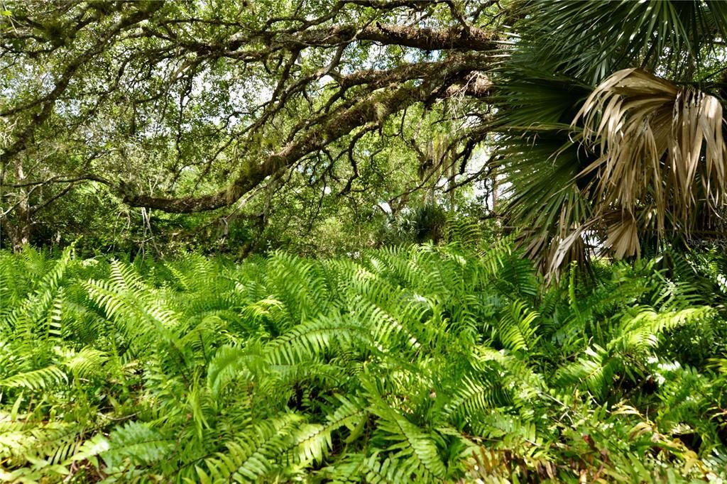 For Sale: $1,353,750 (5 beds, 3 baths, 3512 Square Feet)