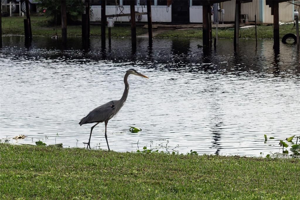 На продажу: $299,000 (3 спален, 2 ванн, 1728 Квадратных фут)