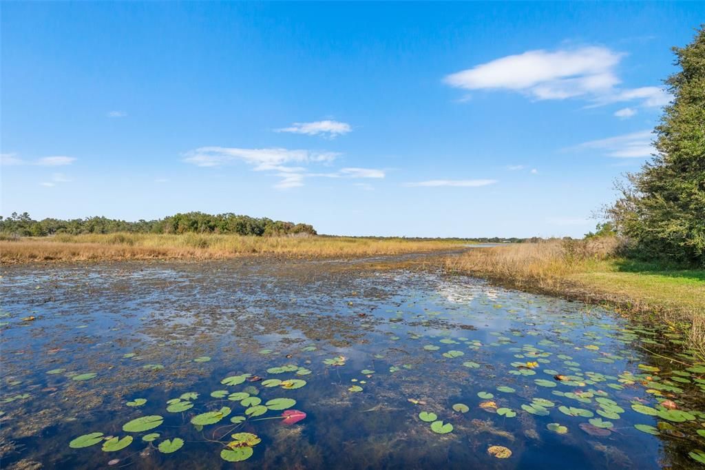 待售: $394,900 (3 贝兹, 2 浴室, 1910 平方英尺)