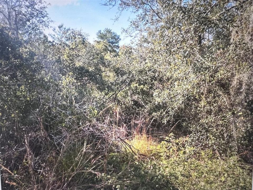 En Venta: $180,000 (1.50 acres)