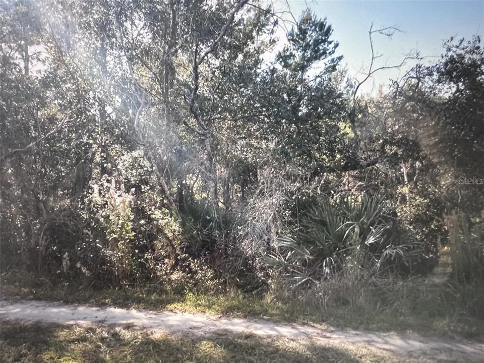 En Venta: $180,000 (1.50 acres)