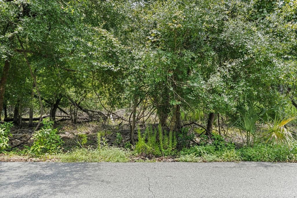 For Sale: $595,000 (11.16 acres)