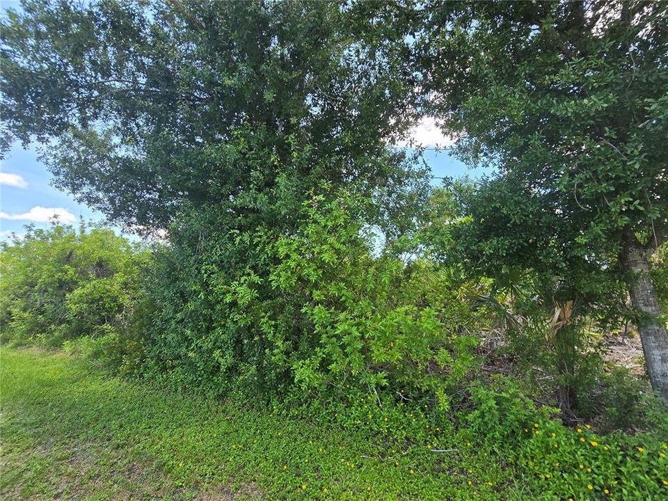 Activo con contrato: $19,900 (0.23 acres)