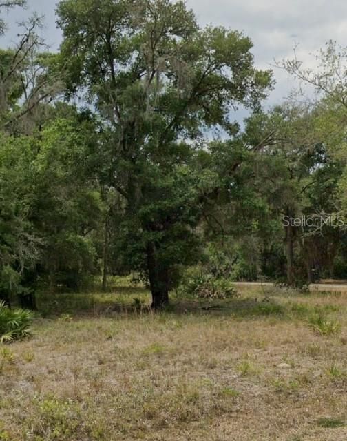 На продажу: $42,000 (1.16 acres)