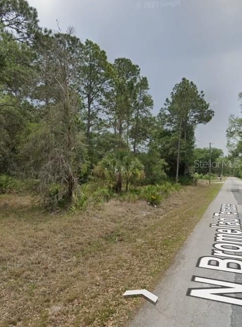 На продажу: $42,000 (1.16 acres)