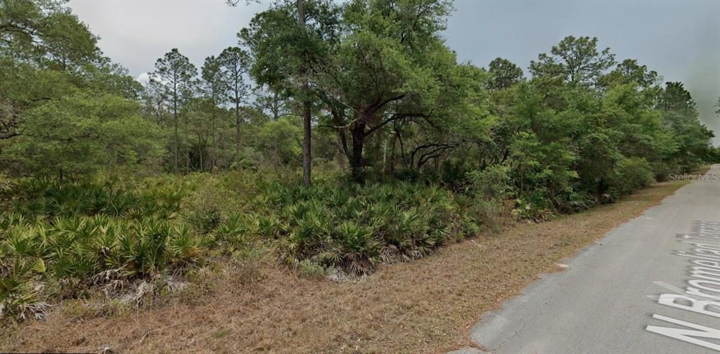 На продажу: $42,000 (1.16 acres)