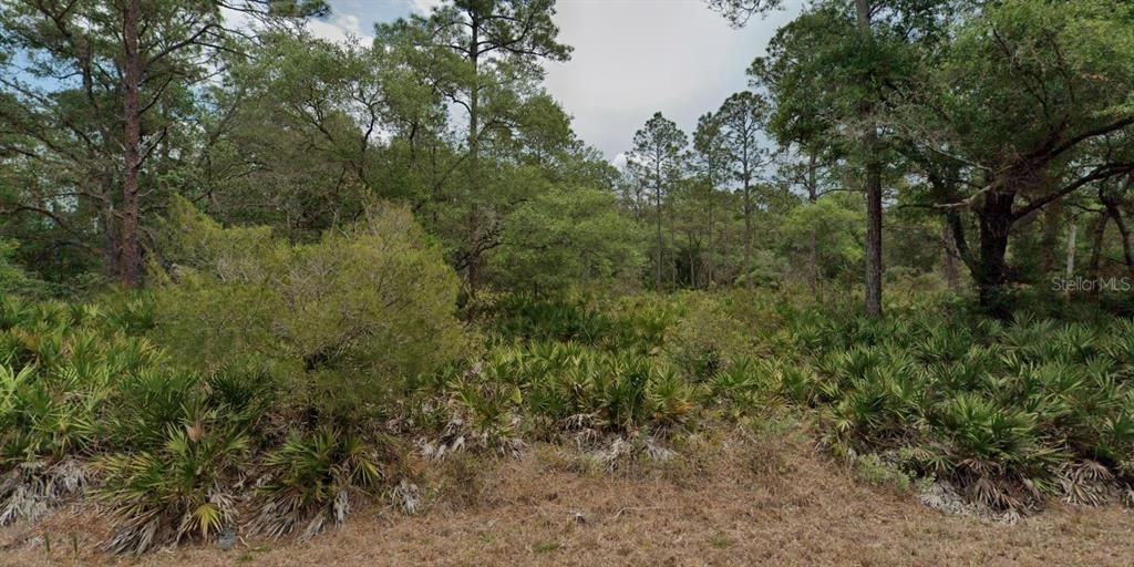 На продажу: $42,000 (1.16 acres)