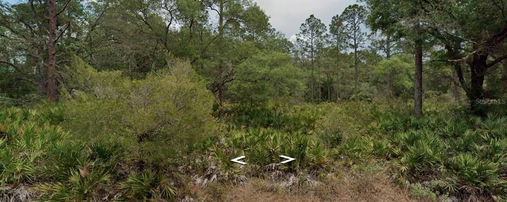 На продажу: $42,000 (1.16 acres)