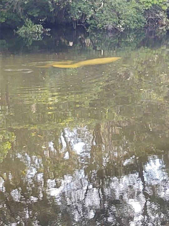 待售: $450,000 (3 贝兹, 2 浴室, 1853 平方英尺)