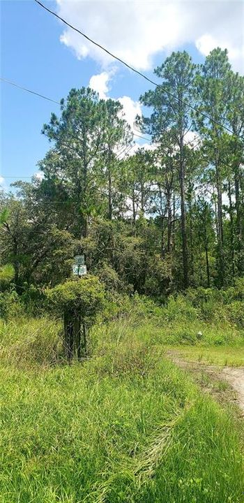 For Sale: $21,500 (0.16 acres)