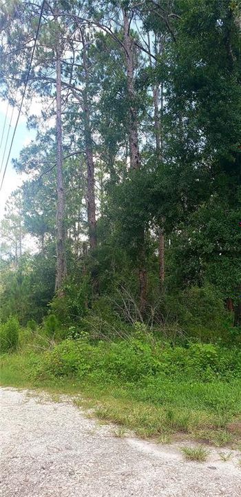 На продажу: $46,500 (0.71 acres)