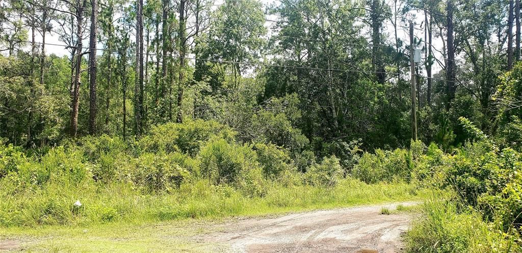 На продажу: $46,500 (0.71 acres)