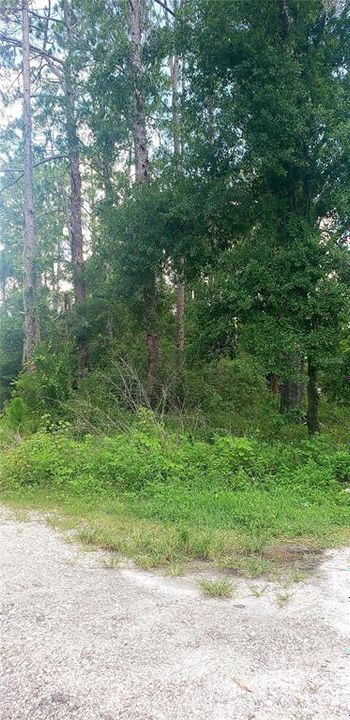 На продажу: $46,500 (0.71 acres)