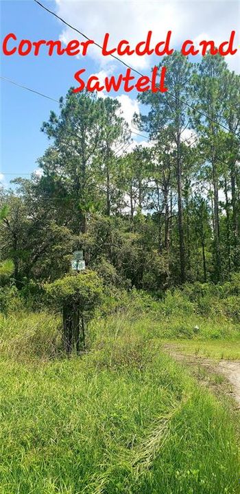 На продажу: $46,500 (0.71 acres)